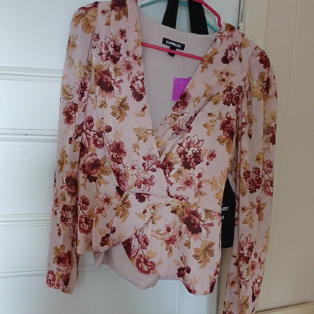 Express Pink Sheer Wrap Blouse Long Sleeve